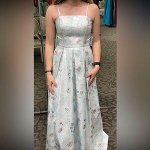 Elegant Floral Blue and Silver Dress